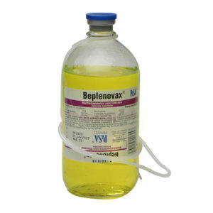 BEPLENOVAX® 500ML